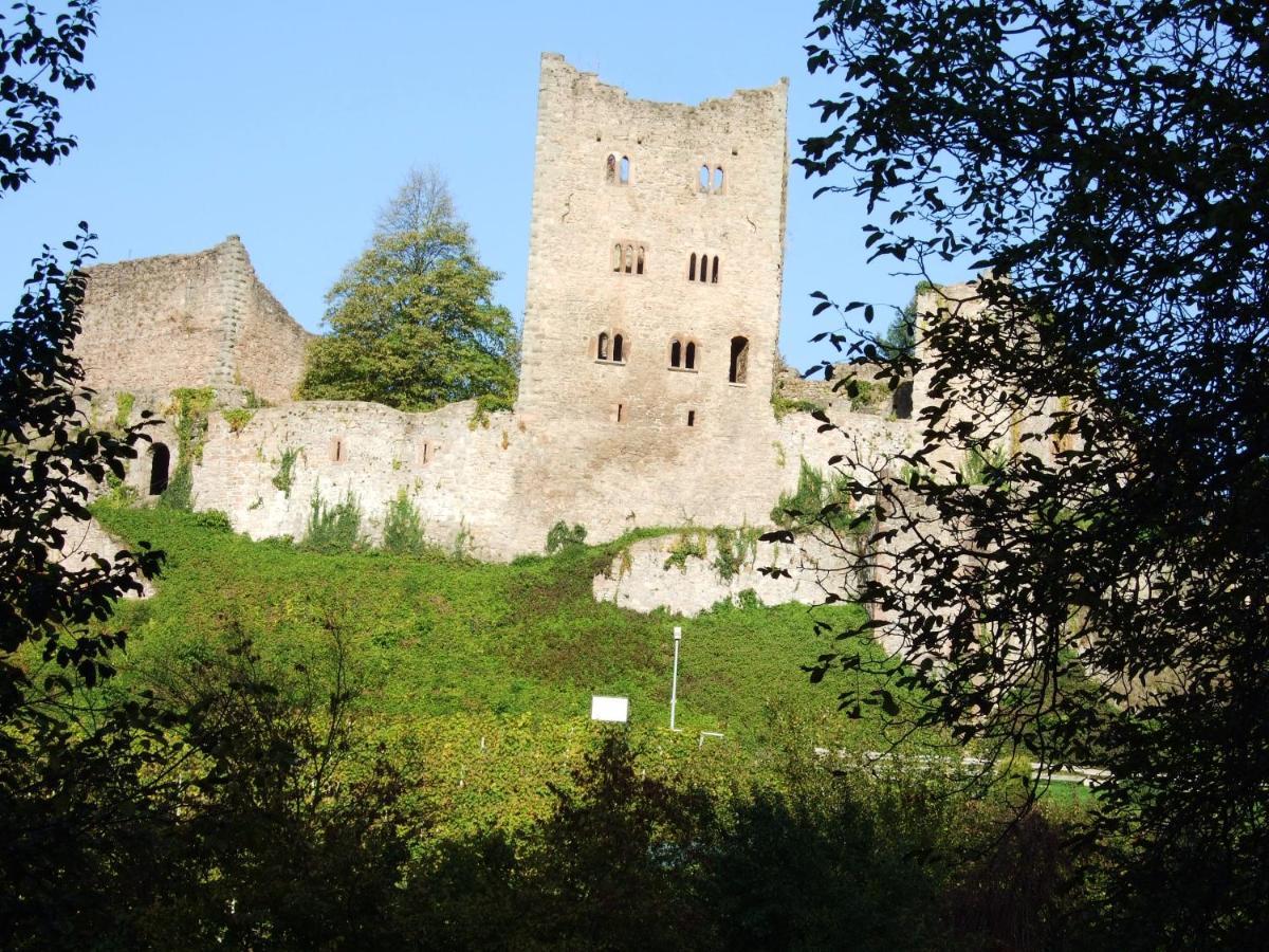Ferienhaus Mayer In Der Sonnigen Ortenau Oberkirch  Luaran gambar